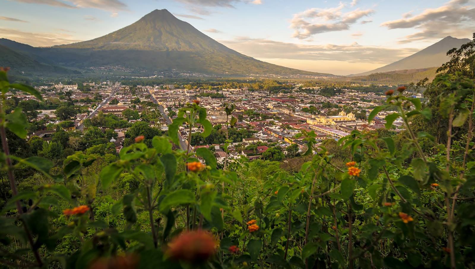 Antigua Guatemala seen from the Cerro de la Cruz at sunset, the Agua volcano behind the city, orange wild flowers in the foreground